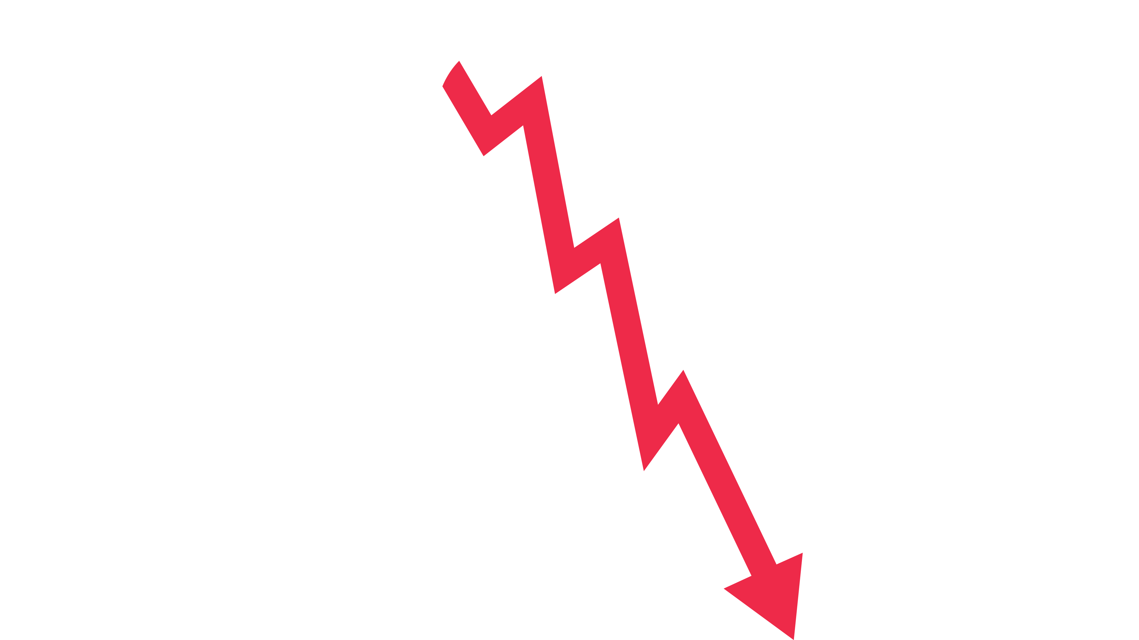 The Short Report