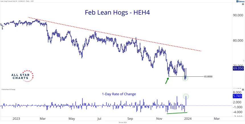 Feb Hogs (1.5.24)