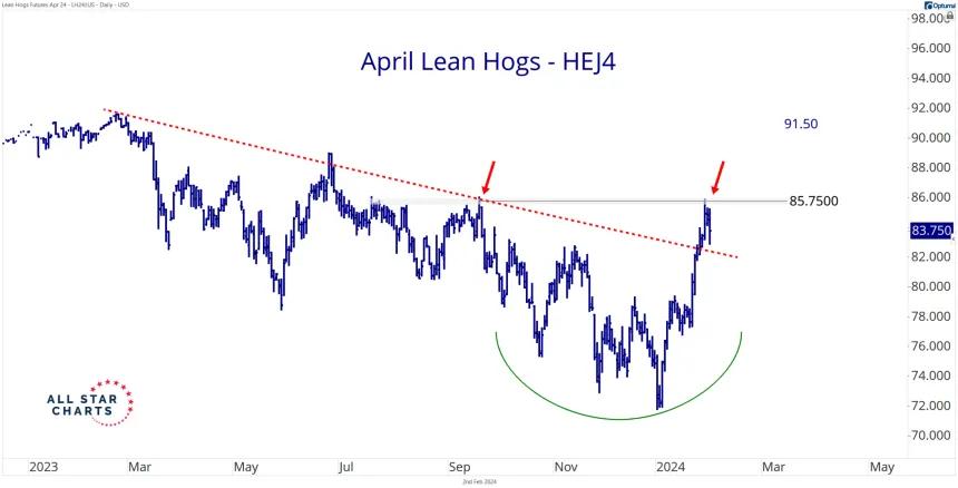 April Hogs (2.2.24)