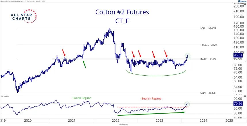 CT_F (2.16.24)