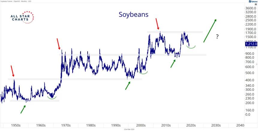 Soybeans (3.22.24)