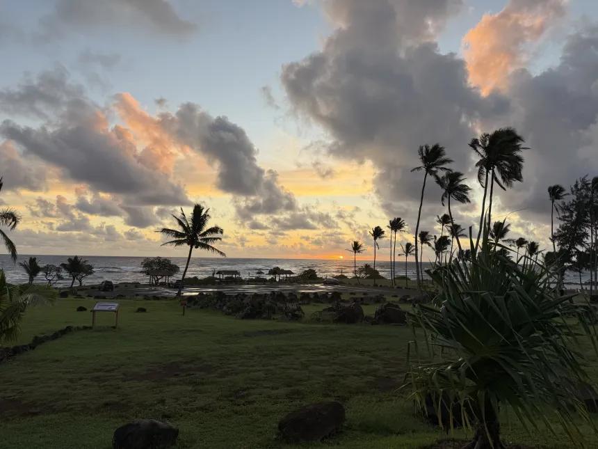 view
