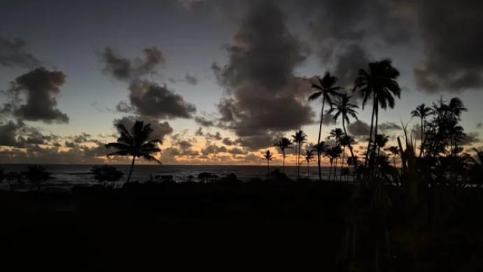 my office view this morning